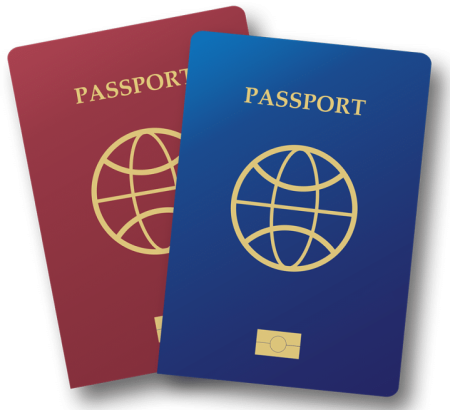Passport token. Паспорт вектор. Паспорт логотип. Загранпаспорт вектор.